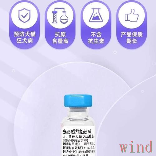 必威正规版入口说明与使用指南